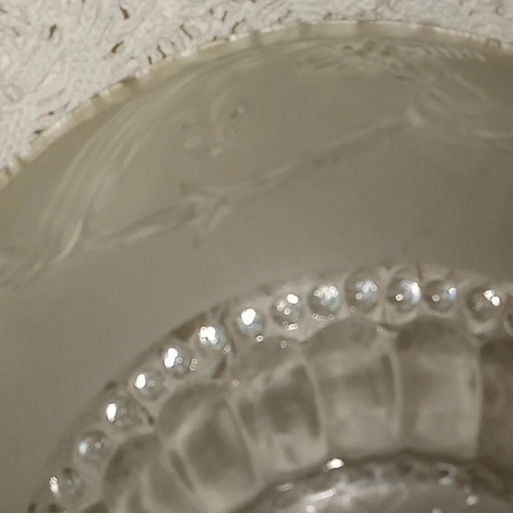 Elegant Frosted Glass light cover